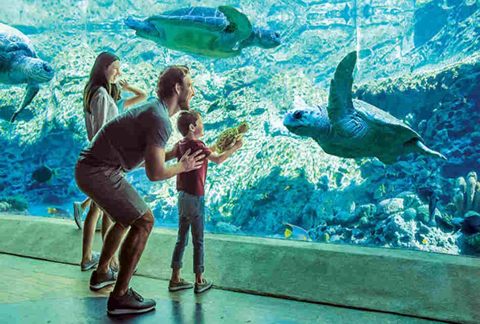 O cartão pré-escolar 2021 permite visitas gratuitas ilimitadas aos dois parques de Tampa (Foto: Divulgação)
