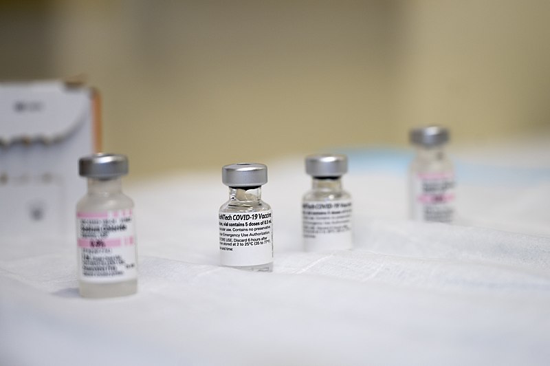 Vacina da Pfizer precisa ser armazenada em baixíssima temperatura (foto: Ferdinando-wikimedia)