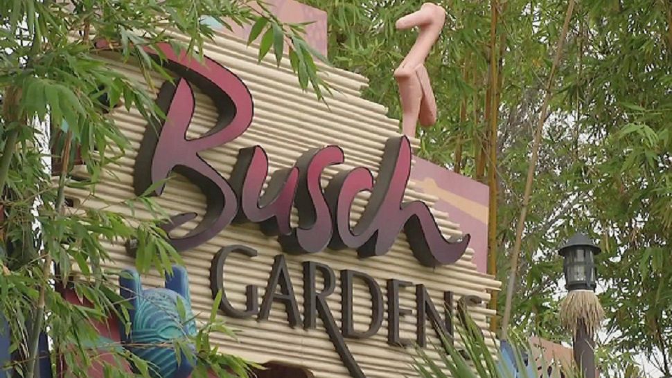 Busch Gardens em Tampa, FL (Foto: Divulgação)