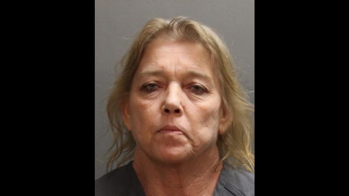 Alvis Parrish, de 54 anos foi presa por tentativa de homicídio (foto: Jacksonville Sheriff's Office)
