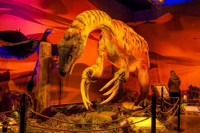 Exposição possui cerca de 30 dinossauros em tamanho real movidos a animatrônicos alojados em uma réplica de seu habitat natural (Foto: Dino Safari/Divulgação)