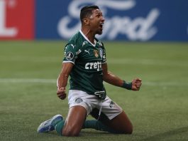 Rony se tornou um dos principais artilheiros do Palmeiras na Libertadores, com 14 gols marcados (Foto: Cesar Greco/Palmeiras)