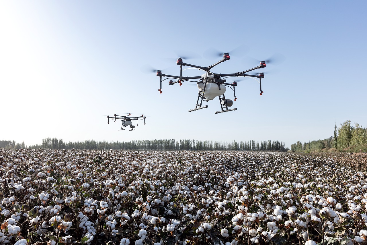 Drones tomarão o céu de Coconut Grove (Foto: Pixabay)
