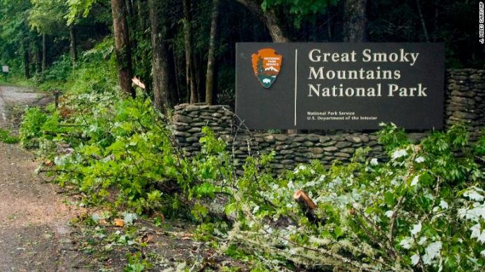 O acidente inusitado provocou consternação entre os funcionários do parque e os visitantes (Foto: Parque Nacional Great Smoky Mountains)