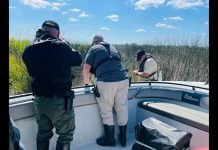 O corpo de uma mulher foi descoberto em um pântano no norte da Flórida e os investigadores ainda não têm certeza de sua identidade ou da causa da morte (Foto: Gabinete do xerife do condado de Nassau)