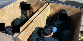 Imigrantes indocumentados eram escondidos em caixas para enganar os agentes de fronteira do CBP (Foto: CBP)