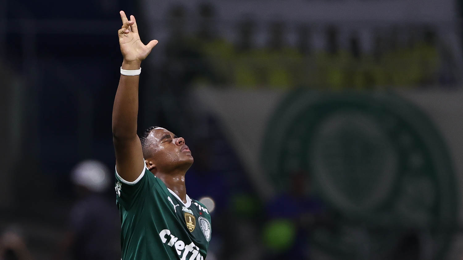 Flamenguistas festejam nas redes sociais a derrota do Palmeiras - Fala  Comunidade