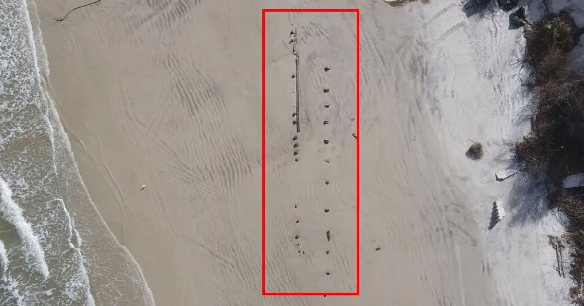 Estrutura de cerca de 80 pés de comprimento foi descoberta por banhistas (foto: Volusia County)
