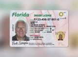 Antes dessa alteração, os candidatos à habilitação podiam realizar o teste teórico em diferentes idiomas, o que facilitava o acesso de imigrantes ao documento. (Foto: Florida Department of Highway Safety and Motor Vehicles)