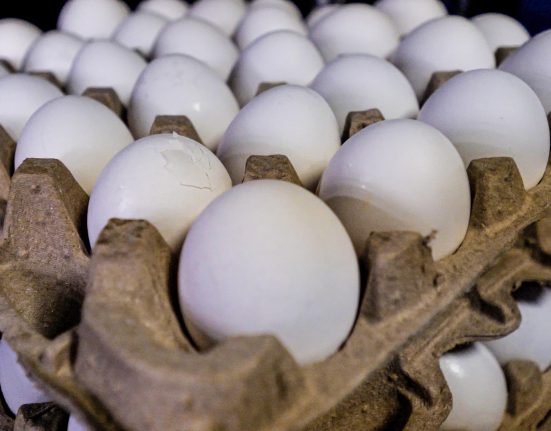 Surto de gripe aviária já levou a morte de 25,5 milhões de aves entre novembro de 2024 e janeiro deste ano