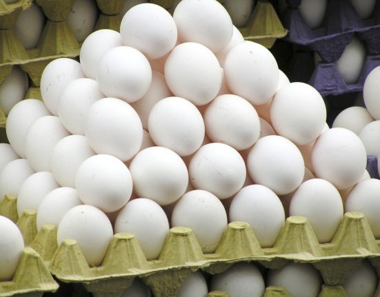 A gripe aviária já dizimou quase 170 milhões de aves desde o início de 2022 e é apontada como uma das causas da inflação de alimentos. O preço dos ovos no atacado subiu 53,6% em fevereiro
