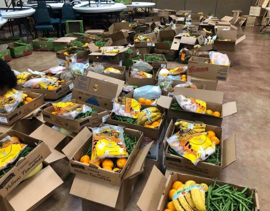 Dados do Departamento de Agricultura apontam que 13,5% dos americanos tiveram dificuldade para garantir alimentos suficientes em 2023. A taxa é a mais alta em quase uma década (Foto PIB Florida)