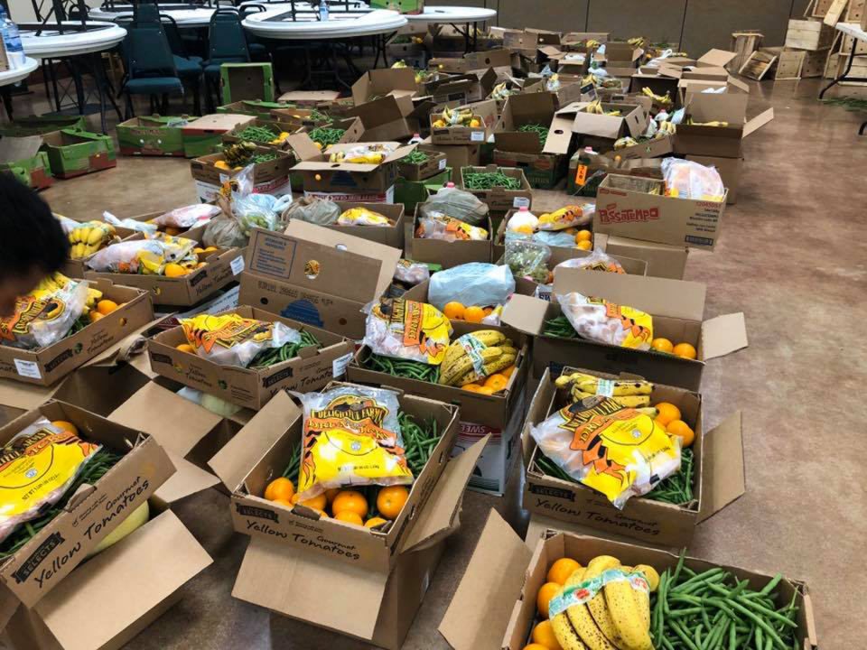 Dados do Departamento de Agricultura apontam que 13,5% dos americanos tiveram dificuldade para garantir alimentos suficientes em 2023. A taxa é a mais alta em quase uma década (Foto PIB Florida)