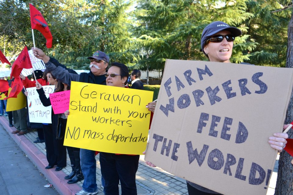 No comício e coletiva de imprensa da UFW com Robert Kennedy Jr. “Se os trabalhadores rurais forem deportados, quem alimentará a América?” (Foto: Flickr)