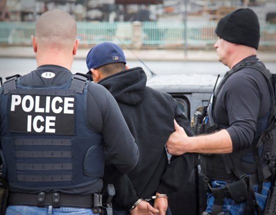 Mais de 200 agências policiais estaduais, municipais e de condados na Flórida assinaram acordos de cooperação com o ICE (Foto: Pixabay)
