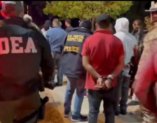 De acordo com as autoridades, os detidos foram encaminhados para o processamento e, provavelmente serão deportados (Foto: Reprodução TV)
