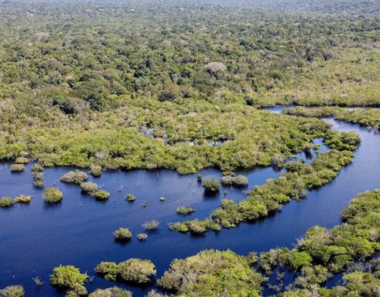 O Pantanal foi o bioma que teve a maior redução da área desmatada (Foto: Fabio Rodrigues Pozzebom/Agência Brasil)