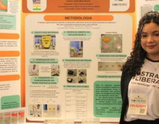 A brasileira afirmou que já considerava uma vitória a oportunidade de participar de um evento internacional com outros pesquisadores e propostas inovadoras (Foto: Divulgação)