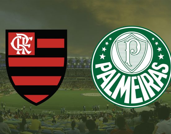 Os bichos-papões do futebol nacional, Flamengo e Palmeiras se despediram na última quarta-feira (6) da Copa do Brasil (Foto: pxhere)