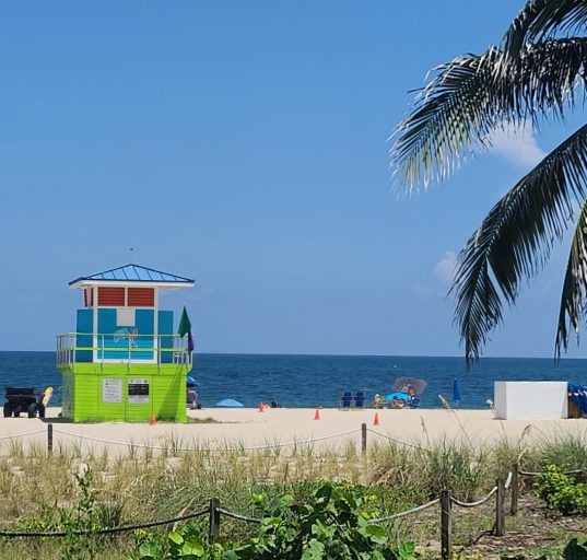 O estudo evidencia que, apesar de seu histórico de crescimento econômico e atração de novos residentes, a Flórida enfrenta desafios estruturais que afetam o futuro social e econômico do estado (Foto: Esterliz Nunes)