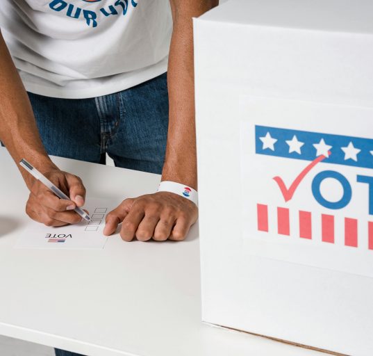 Uma eventual vitória democrata poderia ampliar a fiscalização sobre o governo e dificultar a implementação da agenda presidencial (Foto: Pexels)