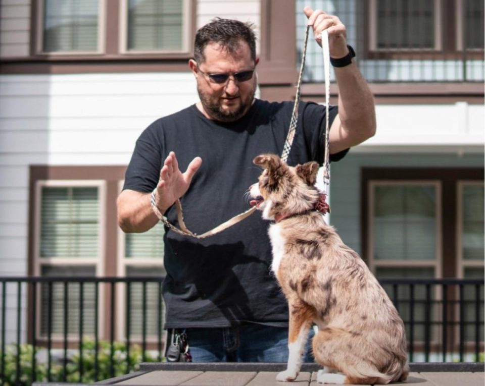 Morador da Flórida há cerca de uma década, ele já treinou mais de 800 cães da comunidade brasileira em Orlando. (Foto: Redes sociais)