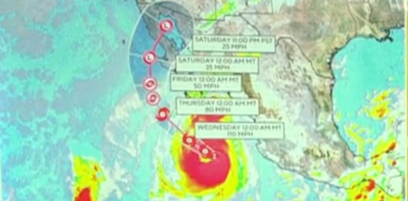 A Flórida se prepara para uma semana de clima instável, com pancadas de chuva e tempestades isoladas, especialmente no Sul e no centro do estado (Reprodução TV)