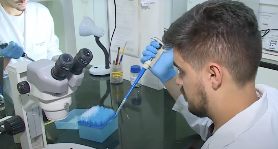 Cientistas brasileiros fazem descobertas revolucionárias na regeneração da medula