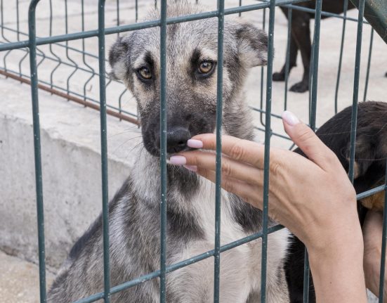 Segundo o prefeito de Orange County, Jerry L. Demings, o prédio atual já não atende às necessidades da comunidade (Foto: Freepik)