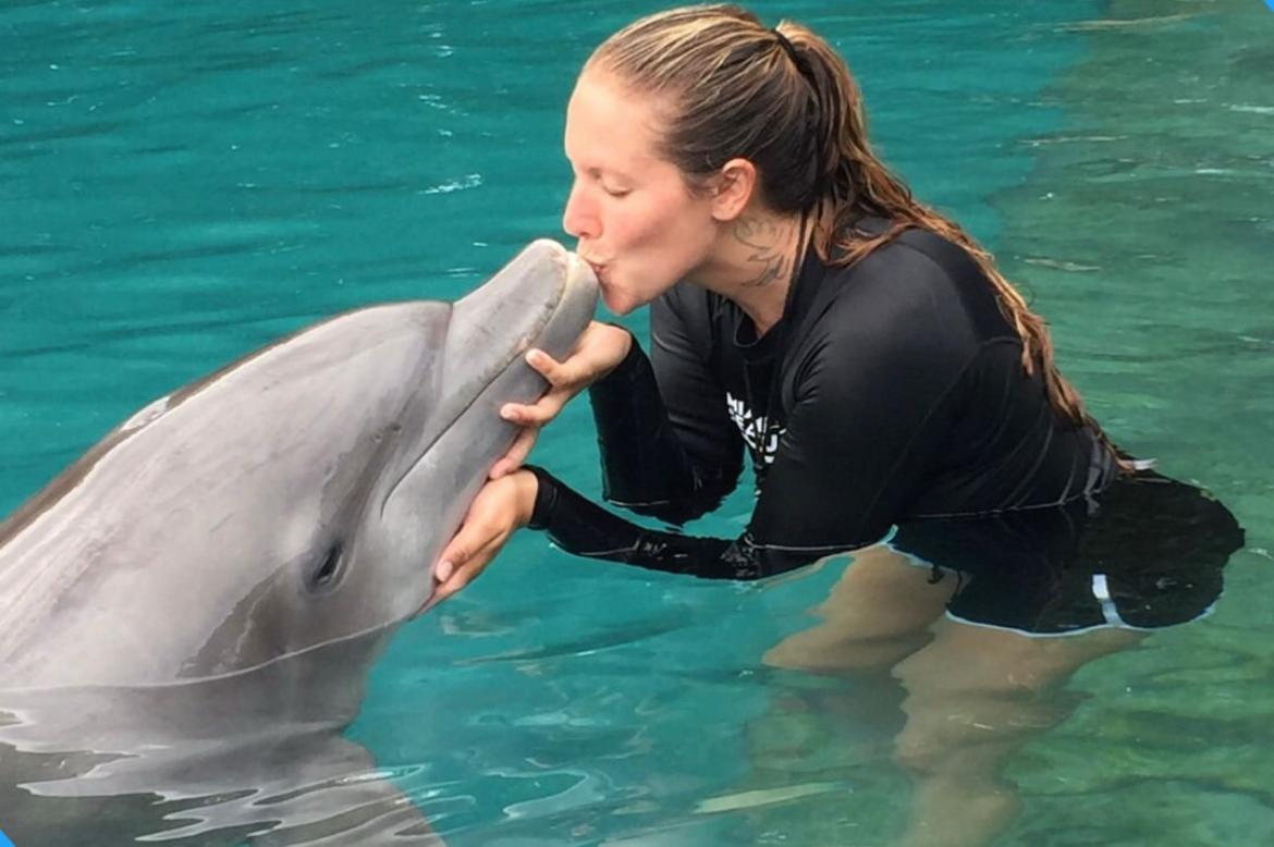 Miami Seaquarium encerrará suas atividades no domingo, 12 de outubro