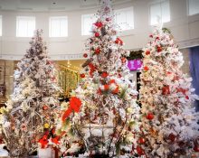 O festival oferece oportunidades de voluntariado e oficinas de decoração para que público participe ativamente da criação e montagem do evento (Foto: Redes sociais)