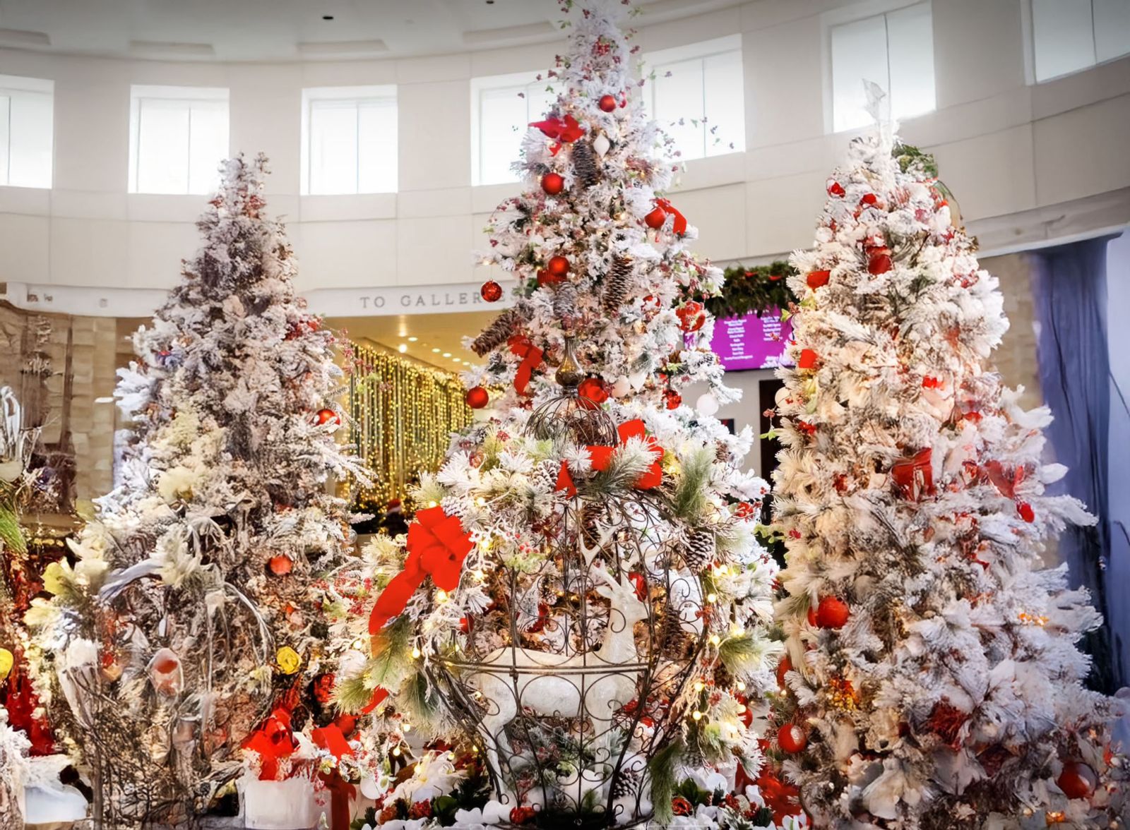 Orlando celebra a magia do Natal com o Festival das Árvores no Museu de Artes