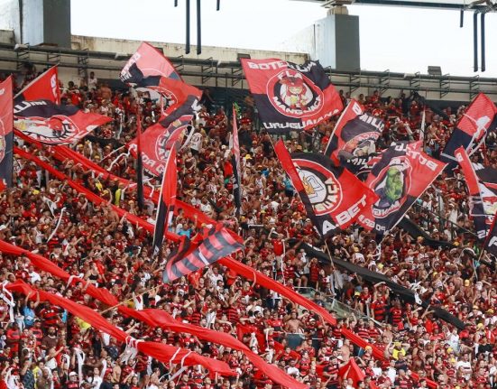 A torcida do Flamengo vibrou com os dois principais títulos do ano – a Libertadores e o Brasileirão (Foto: André Dantas/Pexels)