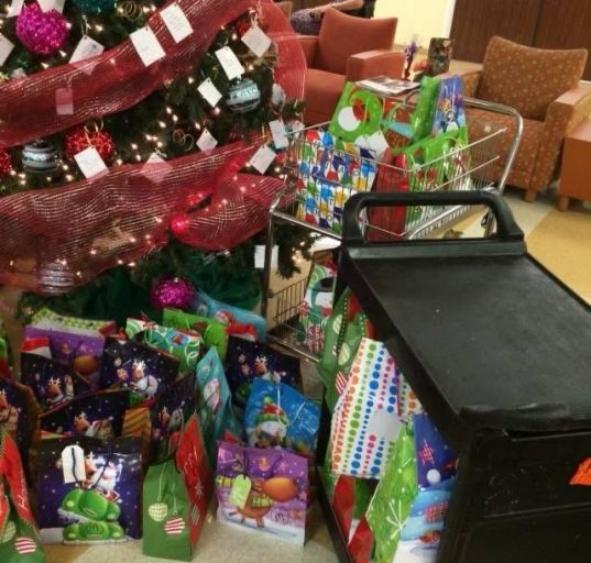 Por razões de saúde e segurança dos residentes, as visitas ao local estão restritas, e a distribuição dos presentes ficará a cargo da equipe de enfermagem da instituição (Foto: Divulgação)