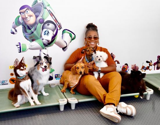 Beatriz França, proprietária da Petland, tem experiência de mais de 15 anos em cuidados com pets (Foto: Divulgação)