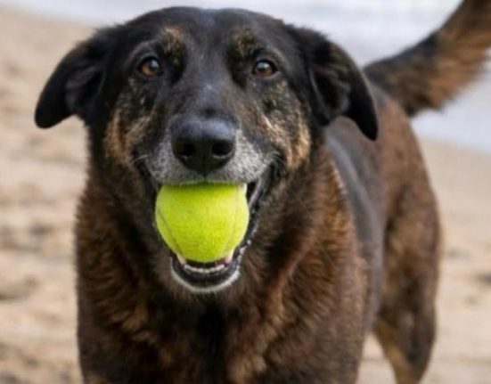Devido à gravidade do caso, a Justiça pode determinar que os adolescentes sejam internados em uma unidade educacional por até três anos (Foto: Reprodução redes sociais)