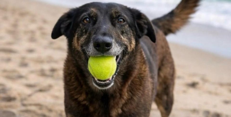 Devido à gravidade do caso, a Justiça pode determinar que os adolescentes sejam internados em uma unidade educacional por até três anos (Foto: Reprodução redes sociais)