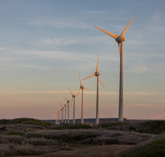 A empresa impactará positivamente a economia regional, com a geração de empregos diretos e indiretos, aumento da arrecadação municipal e estímulo ao desenvolvimento de áreas rurais (Foto: Freepik)