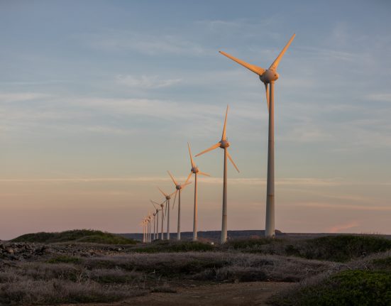 A empresa impactará positivamente a economia regional, com a geração de empregos diretos e indiretos, aumento da arrecadação municipal e estímulo ao desenvolvimento de áreas rurais (Foto: Freepik)