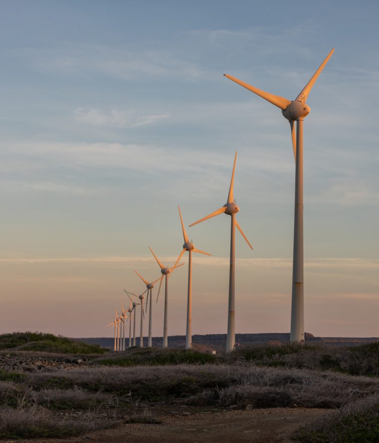 A empresa impactará positivamente a economia regional, com a geração de empregos diretos e indiretos, aumento da arrecadação municipal e estímulo ao desenvolvimento de áreas rurais (Foto: Freepik)