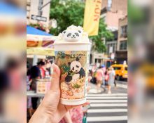 Criado em Nova York em 2024, o Panda Fest se transformou em um festival itinerante de grande porte, passando por cidades como Dallas, Austin, Atlanta, Boston, Filadélfia, Seattle e Phoenix (Foto: Reproodução redes sociais)