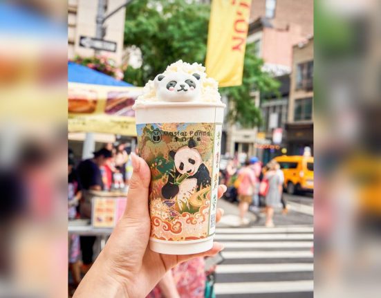 Criado em Nova York em 2024, o Panda Fest se transformou em um festival itinerante de grande porte, passando por cidades como Dallas, Austin, Atlanta, Boston, Filadélfia, Seattle e Phoenix (Foto: Reproodução redes sociais)