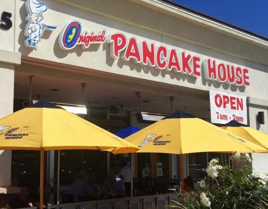 Os fiscais determinaram o fechamento imediato do estabelecimento, e a reabertura só poderá ocorrer após aprovação em nova inspeção sanitária (Foto: Reprodução redes sociais)