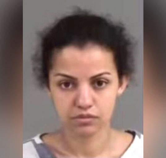 Janaina Ferreira, de 29 anos, foi levada para o Al Cannon Detention Center, onde permanece sob custódia (Foto: Reprodução redes sociais)