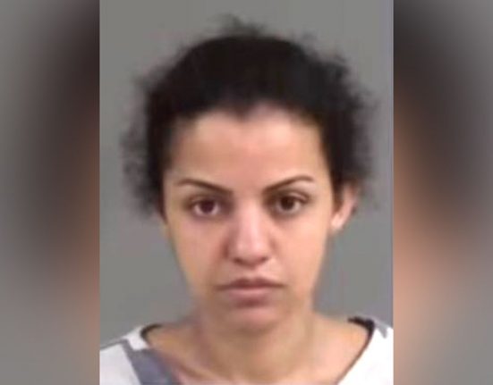 Janaina Ferreira, de 29 anos, foi levada para o Al Cannon Detention Center, onde permanece sob custódia (Foto: Reprodução redes sociais)