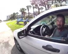 O motorista foi encaminhado a um centro de custódia local e liberado mediante pagamento de fiança (Foto: Reprodução redes sociais)