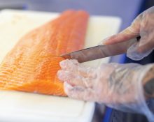 Segundo o relatório, 181 caixas de peixes foram retiradas de circulação e descartadas após a fiscalização (Foto: Freepik)