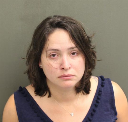 Até o momento, a Walt Disney World não se pronunciou oficialmente sobre o caso. Ainda não há definição sobre a data de julgamento de Amanda Pinheiro Muir, ou até mesmo um acordo entre as partes (Foto: Reprodução redes sociais)