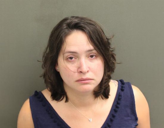 Até o momento, a Walt Disney World não se pronunciou oficialmente sobre o caso. Ainda não há definição sobre a data de julgamento de Amanda Pinheiro Muir, ou até mesmo um acordo entre as partes (Foto: Reprodução redes sociais)