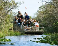 Ao unir lazer, educação e preservação, o programa se consolida como uma ferramenta de formação cidadã (Foto: chensiyuan/Wikimedia)